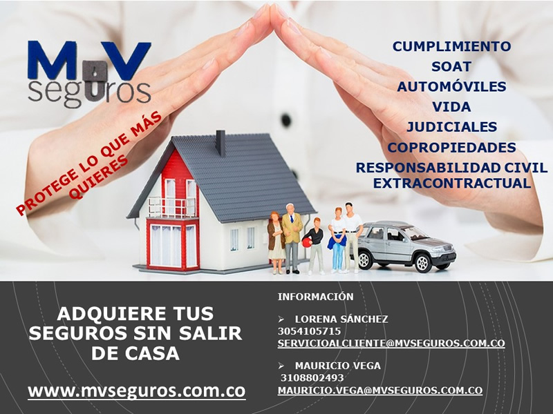 Mv Seguros Polizas de Cumplimiento